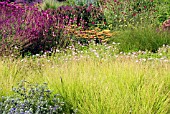 PERENNIAL MEADOW GARDEN