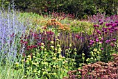 PERENNIAL MEADOW GARDEN