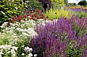 HERBACEOUS BORDER IN LATE SUMMER