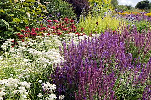 HERBACEOUS_BORDER_IN_LATE_SUMMER