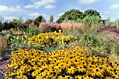 THE SEPTEMBER GARDEN AT BREEZY KNEES NURSERY