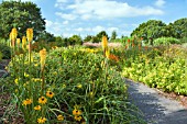 THE SEPTEMBER GARDEN AT BREEZY KNEES GARDENS