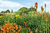 THE SEPTEMBER GARDEN AT BREEZY KNEES NURSERY