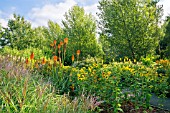 THE SEPTEMBER GARDEN AT BREEZY KNEES GARDENS