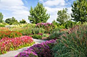 THE SEPTEMBER GARDEN AT BREEZY KNEES GARDENS