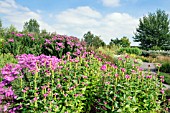 LATE SUMMER HERBACEOUS BORDERS
