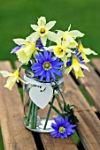 NARCISSUS AND ANEMONE IN A GLASS JAR