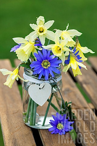 NARCISSUS_AND_ANEMONE_IN_A_GLASS_JAR