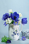 VASE OF ANEMONE CORONARIA DE CAEN AND ANEMONE BLANDA