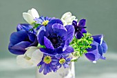 VASE OF ANEMONE CORONARIA DE CAEN AND ANEMONE BLANDA