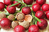 AUSTRALIAN QUANDONG BERRIES (FRUIT OF THE SANTALUM ACUMINATUM TREE)  SPLIT OPEN TO REVEAL THE LARGE NUT INSIDE