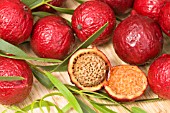 AUSTRALIAN QUANDONG BERRIES (FRUIT OF THE SANTALUM ACUMINATUM TREE)  SPLIT OPEN TO REVEAL THE LARGE NUT INSIDE