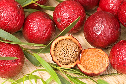 AUSTRALIAN_QUANDONG_BERRIES_FRUIT_OF_THE_SANTALUM_ACUMINATUM_TREE__SPLIT_OPEN_TO_REVEAL_THE_LARGE_NU