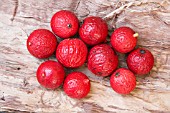 NATIVE AUSTRALIAN SANTALUM ACUMINATUM BERRIES, A SOURCE OF BUSH TUCKER