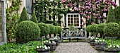 ROSA ZEPHIRINE DROUHIN AND CLIPPED BOX TOPIARY AT WOLLERTON OLD HALL