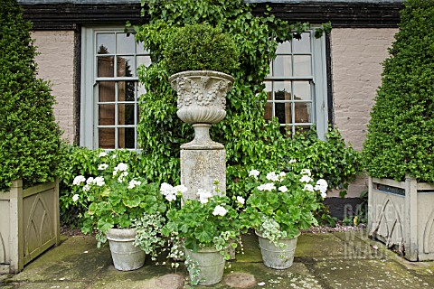 ORNATE_STONE_URNS_WHITE_THEMED_COLOUR_OF_PELAGONIUMS_AT_WOLLERTON_OLD_HALL