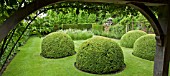 FOUR ENORMOUS BOX PUDDINGS IN THE FONT GARDEN AT WOLLERTON OLD HALL