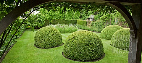 FOUR_ENORMOUS_BOX_PUDDINGS_IN_THE_FONT_GARDEN_AT_WOLLERTON_OLD_HALL