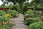 COLOUR THEMED BORDERS OF HERBACEOUS PERENNIALS AT WOLLERTON OLD HALL