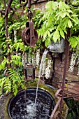 OLD IRON WATER FEATURE WITH WISTERIA SINENSIS ALBA, GROWING ON WALL IN FONT GARDEN AT WOLLERTON OLD HALL