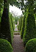 TALL YEW SPIRES IN THE WELL GARDEN AT WOLLERTON OLD HALL