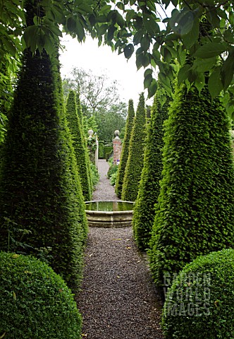TALL_YEW_SPIRES_IN_THE_WELL_GARDEN_AT_WOLLERTON_OLD_HALL