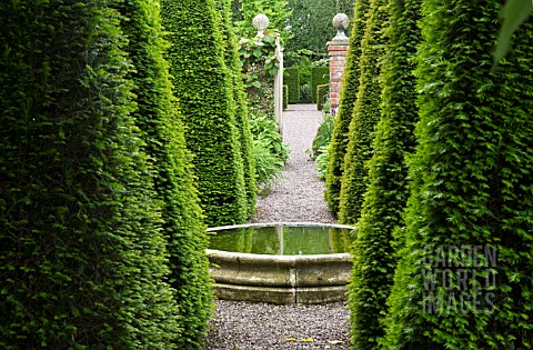 TALL_YEW_SPIRES_IN_THE_WELL_GARDEN_AT_WOLLERTON_OLD_HALL