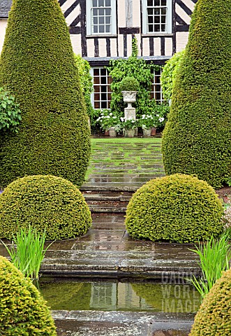 GARDEN_AFTER_RAINFALL_TALL_SHAPED_YEWS_WITH_YEW_SHAPED_PUDDINGS_LEADING_TO_THE_HOUSE__AT_WOLLERTON_O