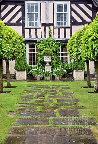 THE_OLD_GARDEN_TWO_ROWS_OF_CLIPPED_PORTUGUESE_LAURELS_AT_WOLLERTON_OLD_HALL