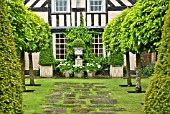 THE OLD GARDEN, TWO ROWS OF CLIPPED PORTUGUESE LAURELS AT WOLLERTON OLD HALL