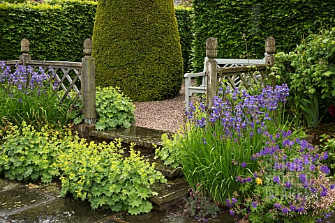 TERRACED_SEATING_AREA_WITH_ALCHEMILLA_MOLLIS_AT_WOLLERTON_OLD_HALL