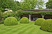 THE FONT GARDEN LOGGIA WITH OAK ARCHES, GARLAND OF ROSA FRANCIS E LESTER AND BOX TOPIARY AT WOLLERTON OLD HALL