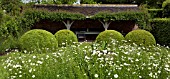 THE FONT GARDEN LOGGIA WITH OAK ARCHES, GARLAND OF ROSA FRANCIS E LESTER AND BOX TOPIARY AT WOLLERTON OLD HALL