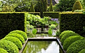 TWO ROWS OF BUXUS SEMPERVIRENS BALLS IN THE UPPER RILL GARDEN AT WOLLERTON OLD HALL