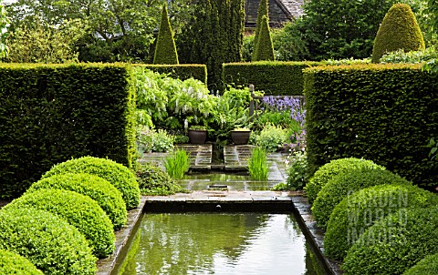TWO_ROWS_OF_BUXUS_SEMPERVIRENS_BALLS_IN_THE_UPPER_RILL_GARDEN_AT_WOLLERTON_OLD_HALL