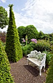 WHITE ORNATE METAL BENCH ON GRAVEL PATH WITH TALL YEW PYRAMIDS AT WOLLERTON OLD HALL