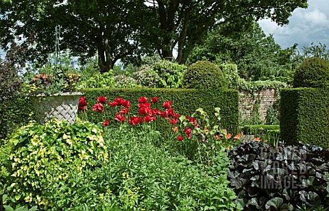 BORDERS_OF_HERBACEOUS_PERENNIALS_YEW_HEDGES_MATURE_TREES_AND_SHRUBS_AT_WOLLERTON_OLD_HALL