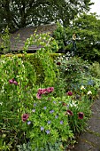 BORDER OF HERBACEOUS PERENNIALS AT WOLLERTON OLD HALL