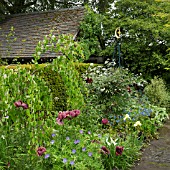 BORDER OF HERBACEOUS PERENNIALS AT WOLLERTON OLD HALL