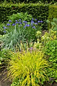 IRIS IN MIXED ENCLOSED BORDER AT WOLLERTON OLD HALL