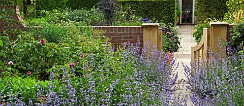 NEPETA_AROUND_WOODEN_GATE_AT_WOLLERTON_OLD_HALL