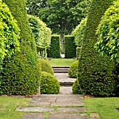 BOX, YEW AND LIMES AT WOLLERTON OLD HALL