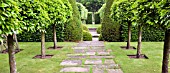 CLIPPED LAURELS WITH VISTA THROUGH OPENINGS IN HEDGES AT WOLLERTON OLD HALL