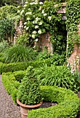 BOX LINED BEDS WITH HYDRANGEA PETIOLARIS ON WALLAT WOLLERTON OLD HALL