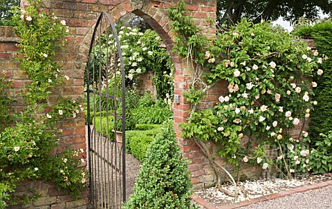 ARCHED_GATEWAY_IN_WALLED_GARDEN_WITH_ROSA_ALCHYMIST_AT_WOLLERTON_OLD_HALL