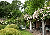 LOGGIA WITH RAMBLING ROSE FRANCIS E. LESTER IN SWAGS ACROSS ROOF AT WOLLERTON OLD HALL