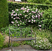 ROSA FANTIN-LATOUR AT WOLLERTON OLD HALL