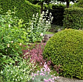 MIXED BORDER WITH DIANTHUS AND VALERIANA AT WOLLERTON OLD HALL