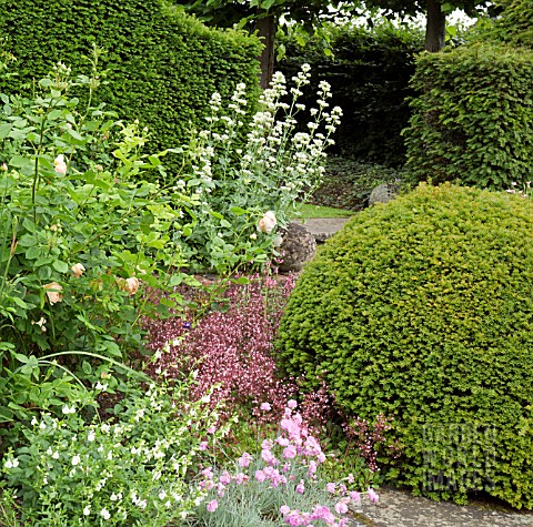 MIXED_BORDER_WITH_DIANTHUS_AND_VALERIANA_AT_WOLLERTON_OLD_HALL