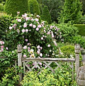 ROSA FANTIN-LATOUR AT WOLLERTON OLD HALL